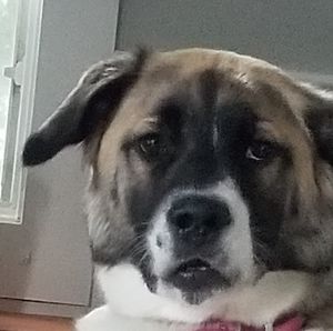 Meet your Posher, Vicky